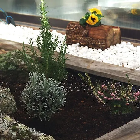 La Espiga Дом отдыха Кортос