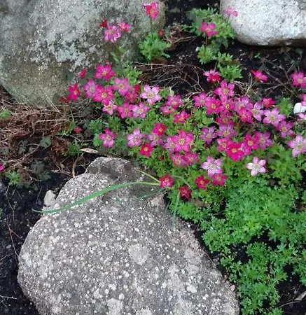 Дом отдыха La Espiga *